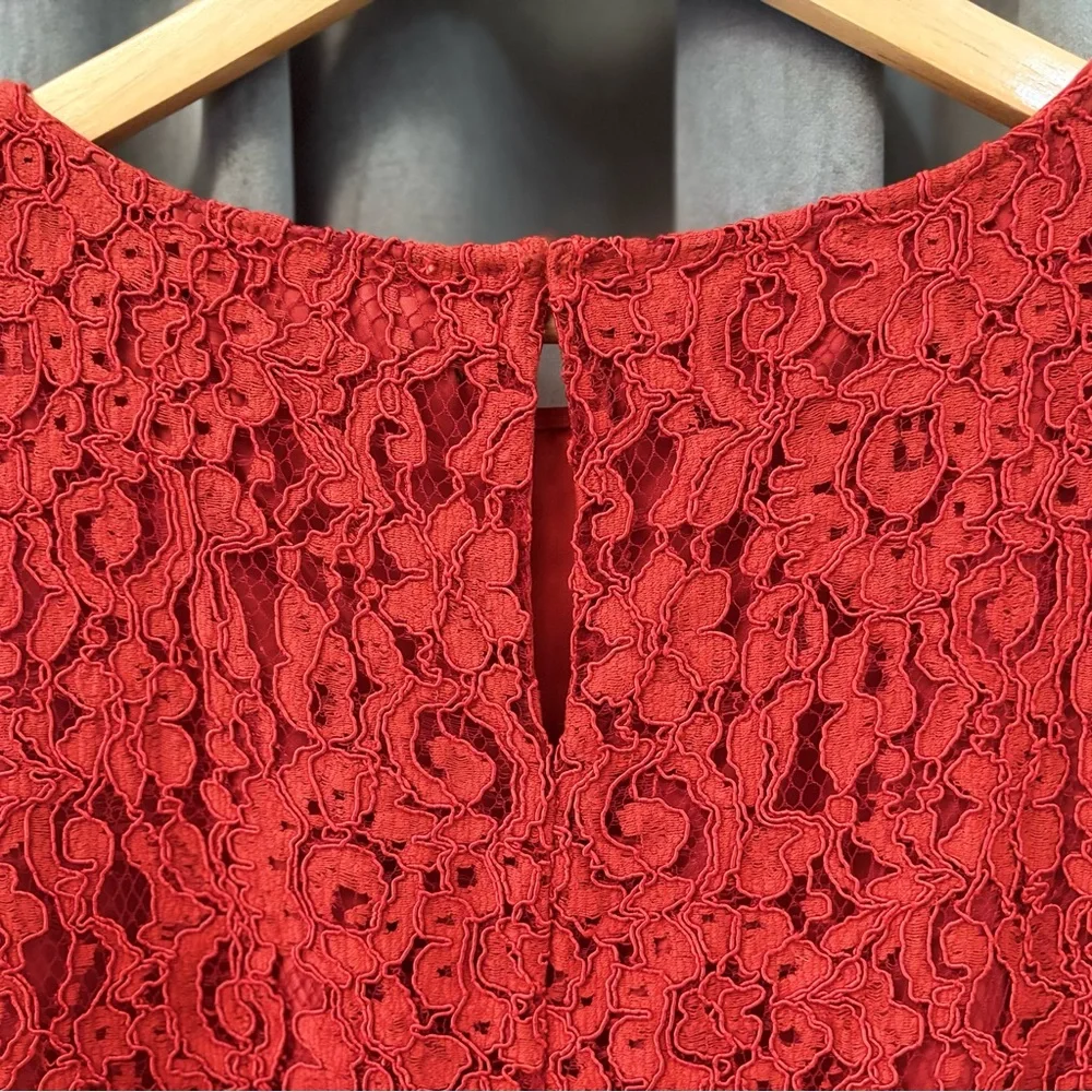 Stunning Zara Crochet Lace Short Sleeve Sheath Dress | Medium - Picture 3 of 12